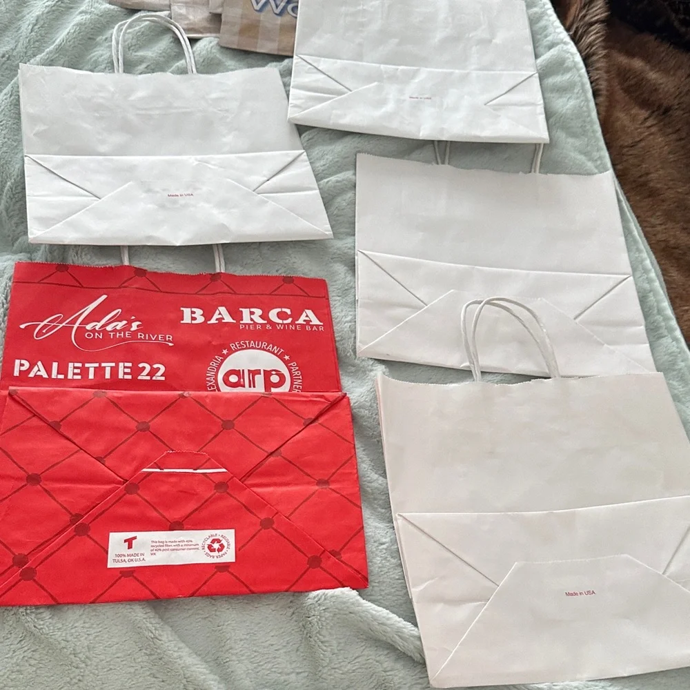 21 Assorted Empty Gift Bags